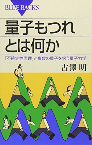 量子もつれとは何か―「不確定性原理」と複数の量子を扱う量子力学 (ブルーバックス)