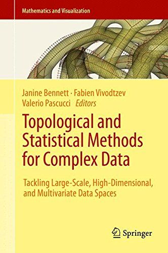Topological and Statistical Methods for Complex Data: Tackling Large-Scale, High-Dimensional, and Multivariate Data Spaces (Mathematics and Visualization)